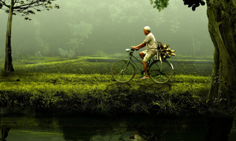 Villager With Bike