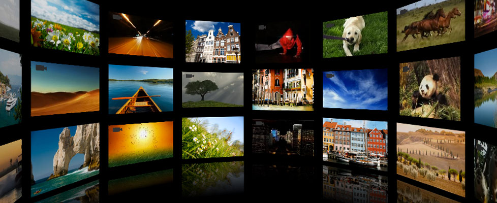 Image With Caption Image With Caption