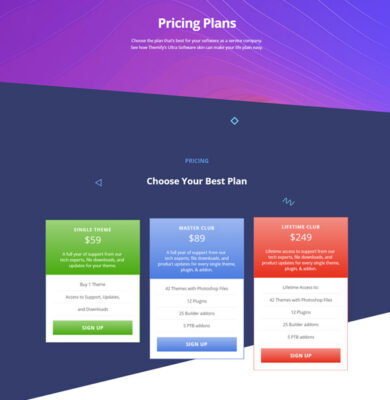 software-pricing-plan