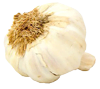 garlic-100x89-1
