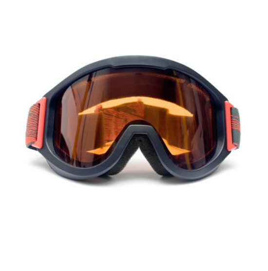 ski-google-550x556-1