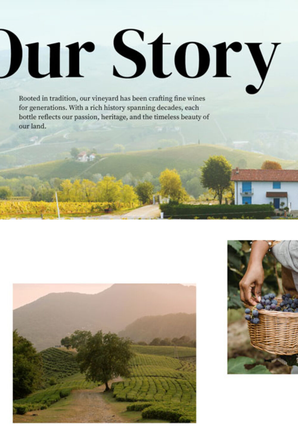 wine-about