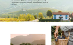 wine-about