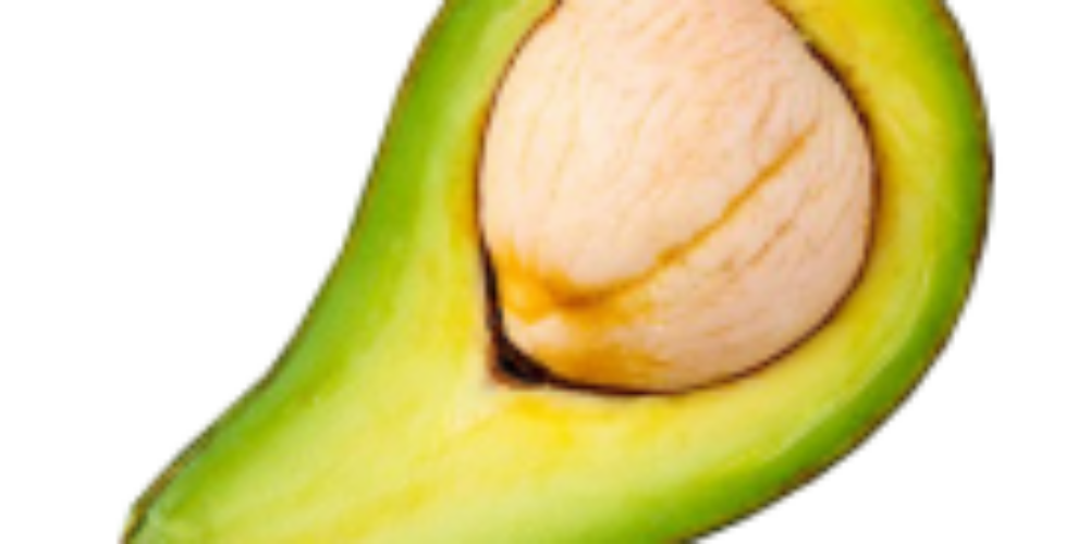 avocado-180x155-1