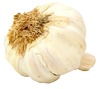 garlic-100x89-1