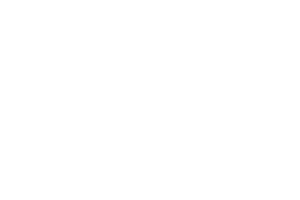 leo-digital
