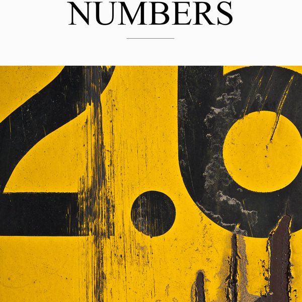 The Secret of Number