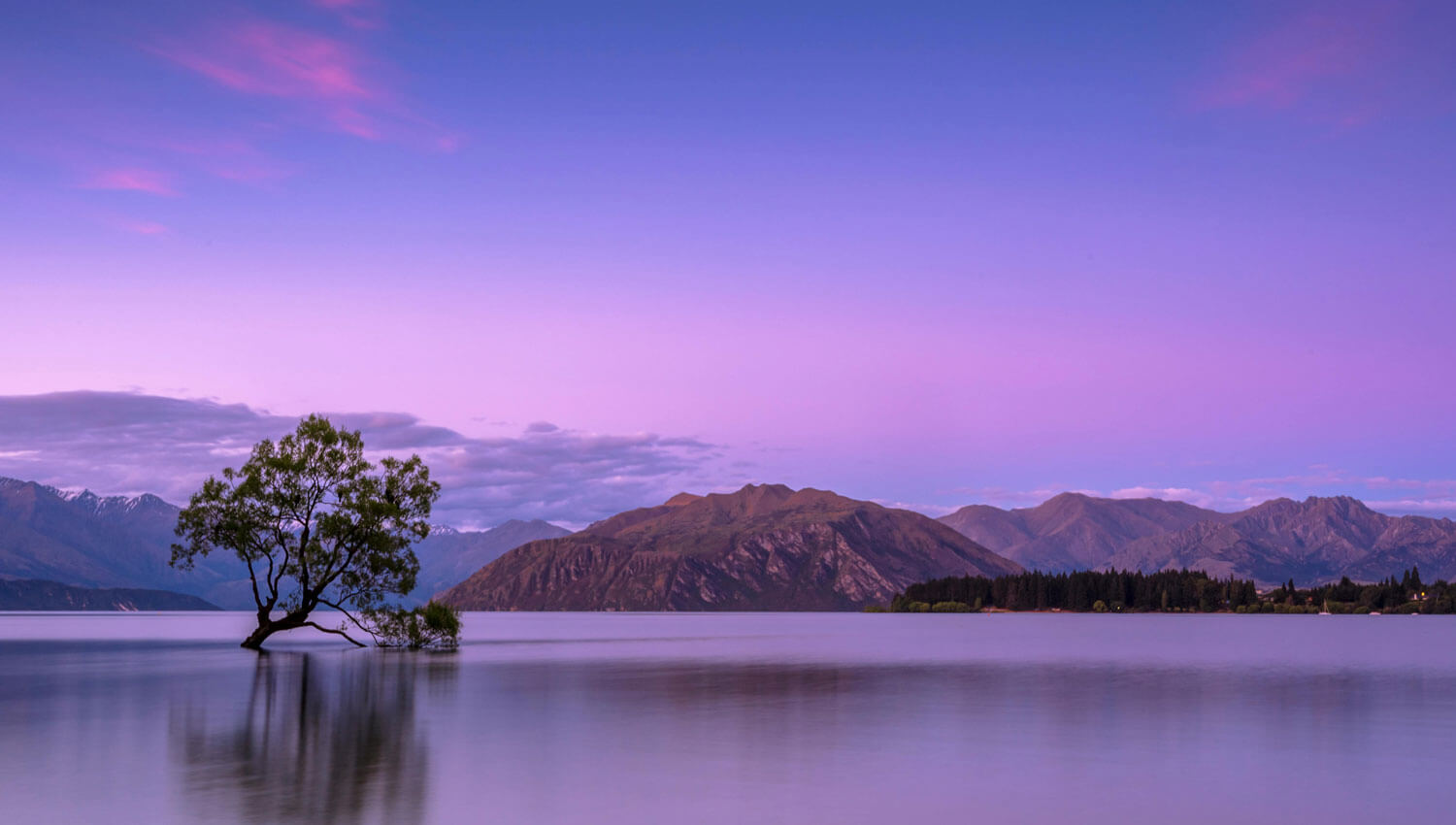 img10 Everybody’s Somebody by Lucas Cooper