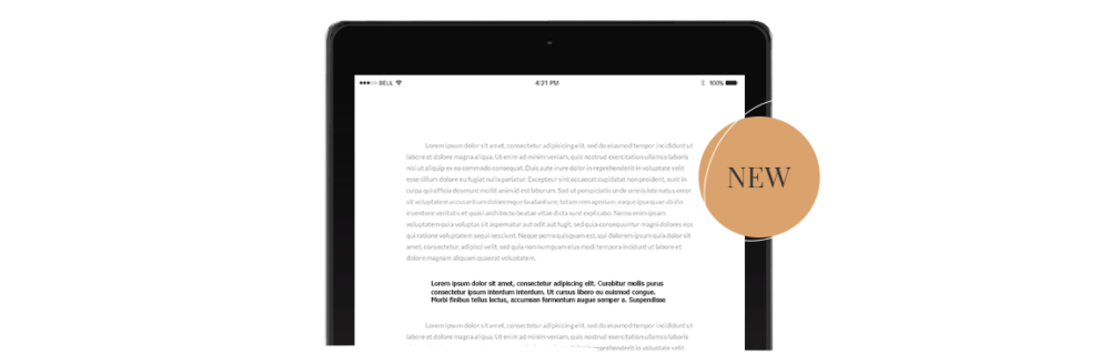Pro Ebook – Demo for Pro Ebook