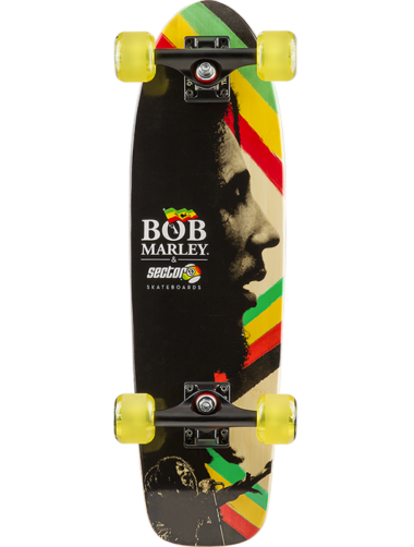 skateboard9