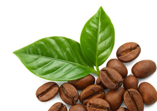 bottom-right-bg bottom-right-bg