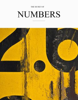 The Secret of Number