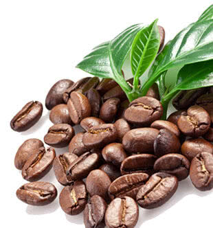 ungrilled-coffee-bean