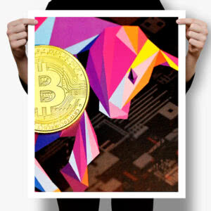 Crypto Guy