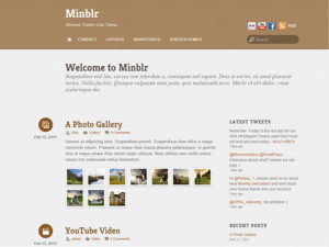 minblr-screenshot