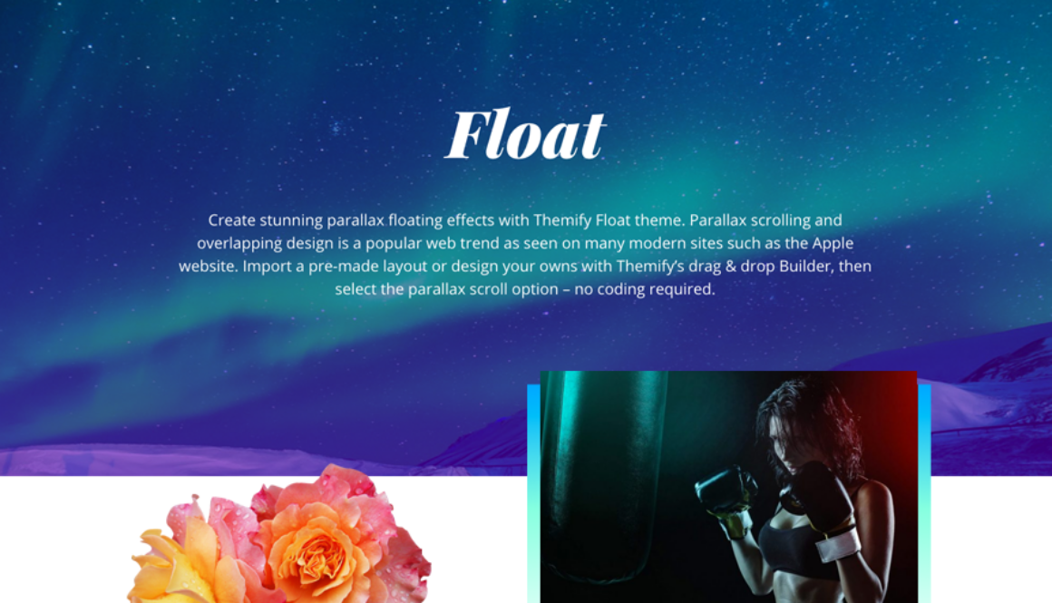 themify-float-screenshot